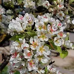 Haus Christoph 3*