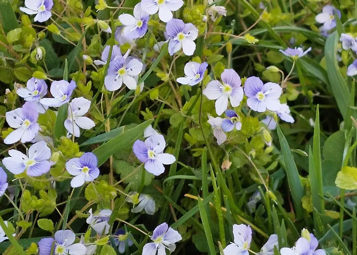 Pensjonat Haus Christoph Abersee