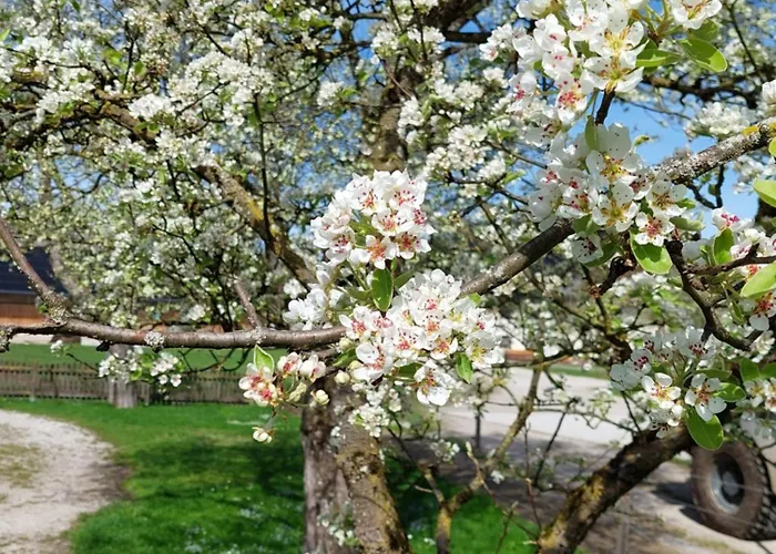 Haus Christoph 3* Abersee