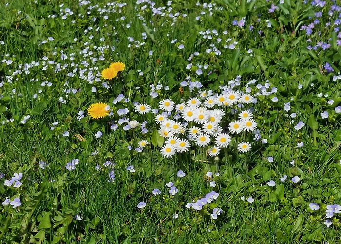 Haus Christoph Pensjonat 3*