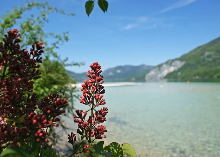 Pensjonat Haus Christoph 3*